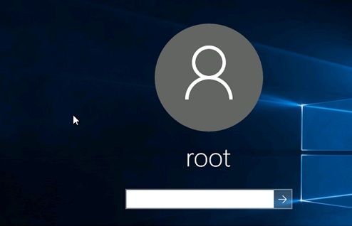Windows 10: User password on login screen