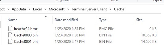 rdp bitmap cache files: bmc and bin