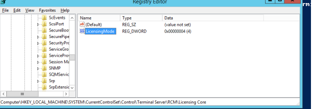 em client 7 terminal server license