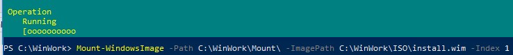 Mount-WindowsImage nainstalovat.wim 