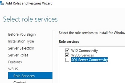 wsus role services in windows server manager
