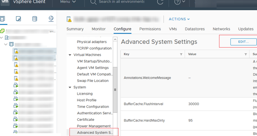 Advanced System Settings in ESXi 