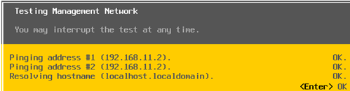 esxi test network with ping