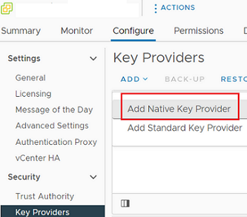 Add Native Key Provider in vmware vCenter 7.0