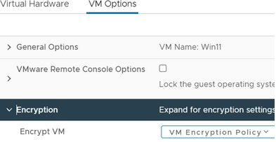 VMware Esxi VM - encryption settings