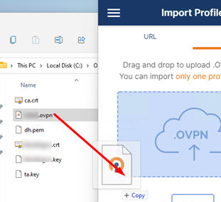 import *.ovpn config file to OpenVPN Connect for Windows 