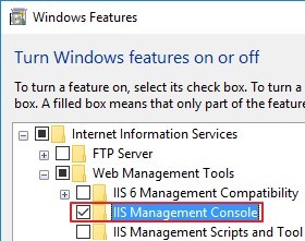 Turn on feature IIS Management Console 