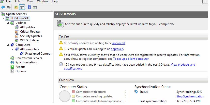 Service are updating. Консоль WSUS. Служба обновления Windows Server. Консоль управления программа. WSUS 2012.