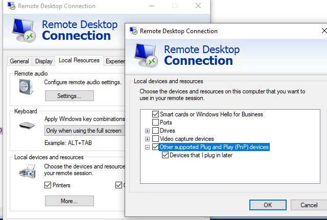 Redirect USB via RDP