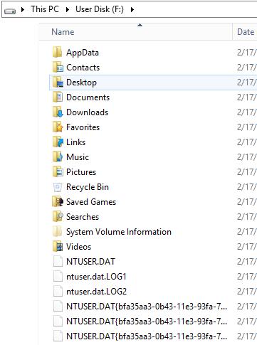 user profile disk folders