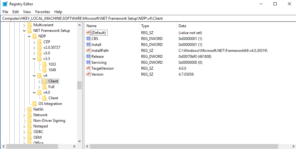 .Net version number and release in registry