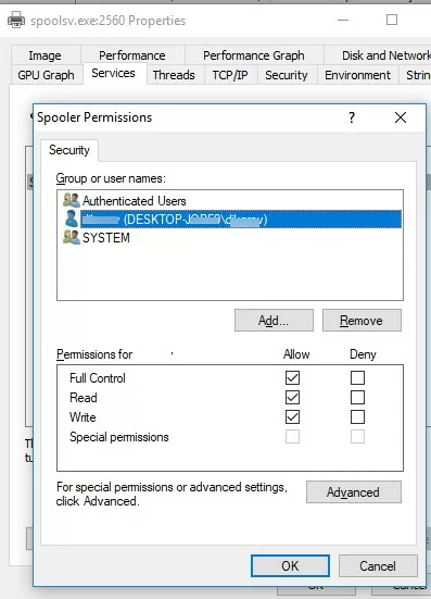 allow manage windows service using procexp