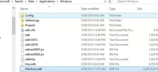 huge Windows.edb file
