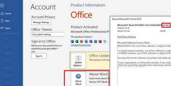 How To Check The Activation Status Of Ms Office 2021 2019 And 365 Windows Os Hub 8627