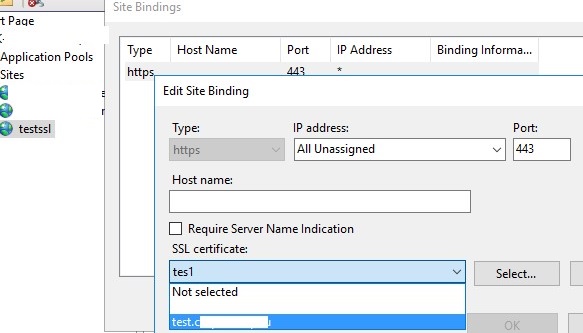 binding self signed sha256 certificate to iis site on windows server
