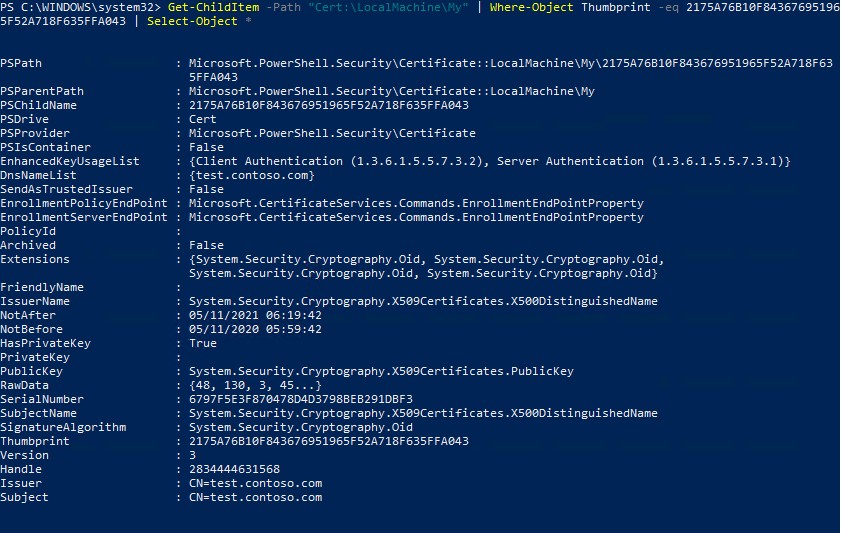List Self-Signed Certificate Attributes with PowerShell