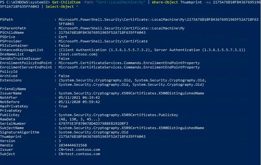 list self-signed certificate properties with powershell