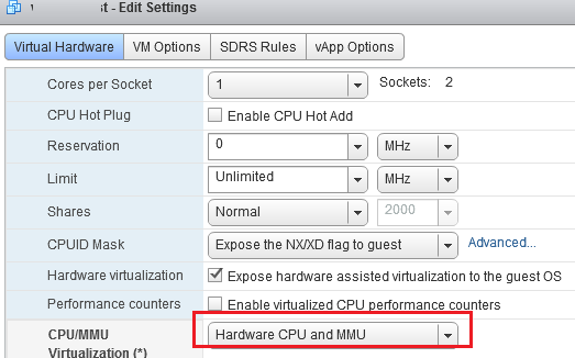Hardware CPU and MMU option in vmware vm