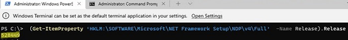 check net framework number with powershell