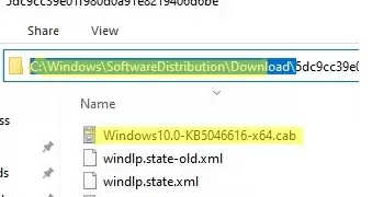 windows update downloads cab files to softwaredistribution directory