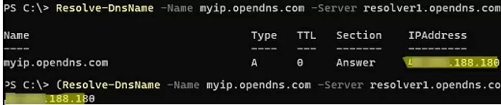 get my public ip from opendns using powershell