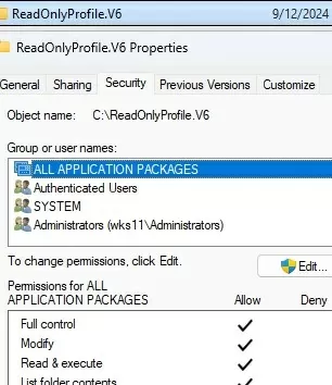 Configure mandatory profile v6 folder permissions