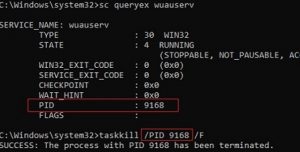 Kill a Windows Service That Is Stuck on Stopping | Windows OS Hub