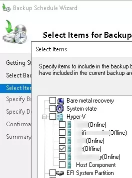 select hyper-v vm to backup on windows-server