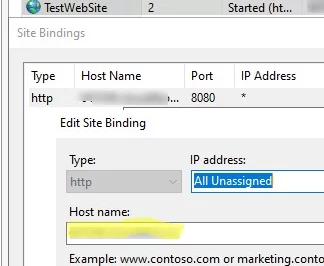 Set hostname in IIS site binding