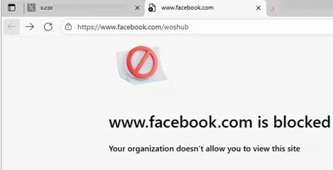 website blocked by organization policies