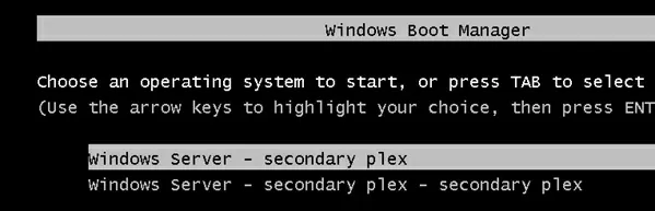 new secondary plex entry in boot manager