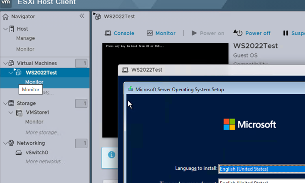 Installing Guest Windows OS to VMWare Virtual Machine