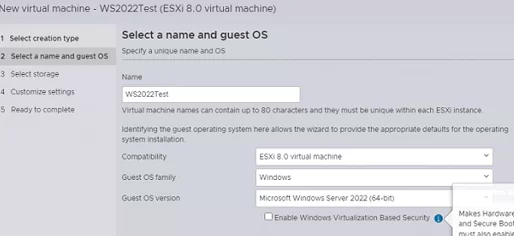 Set VM name and guest OS family, version