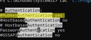 Configuring SSH Public Key Authentication on Windows | Windows OS Hub