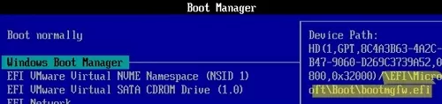 uefi windows boot manager: set bootmgfw.efi path