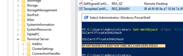 windows terminal services server ssl vs tls