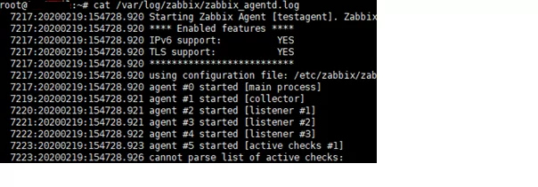 zabbix_agentd.log - cannot parse list of active checks 