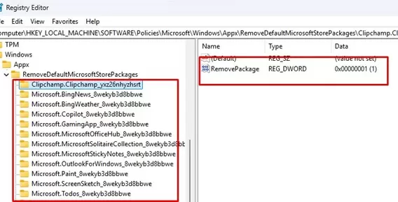 RemovePackage option in registry under RemoveDefaultMicrosoftStorePackages