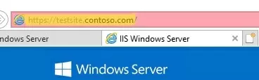 hosting multiple websites on the same IIS port 443