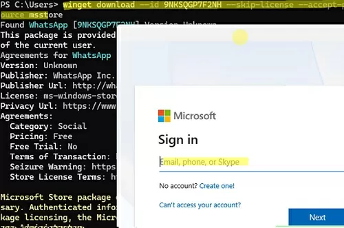 winget download from msstore using entra id account