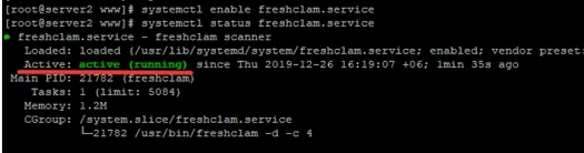 freshclam.service service in linux