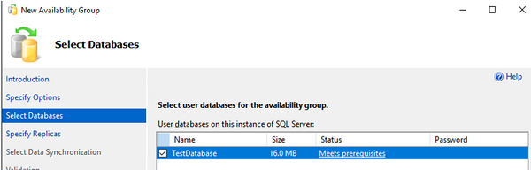 add sql database to the availability group