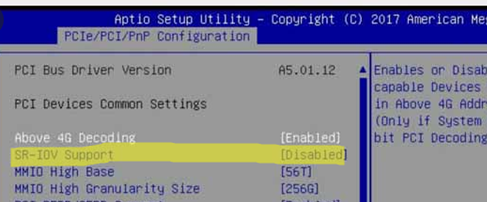 Enable SR-IOV support in host's BIOS