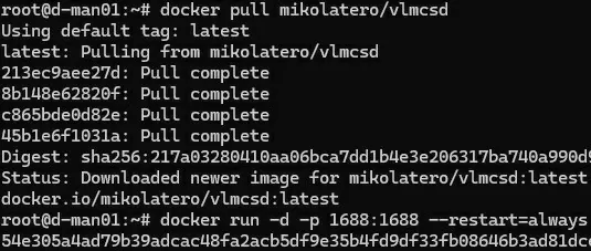 run mikolatero vlmcsd in docker