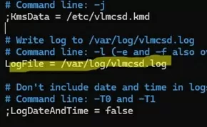 vlmcsd.ini