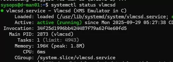 vlmcsd.service kms emulator