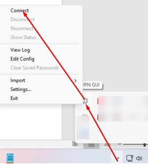Connect VPN client in OpenVPN GUI