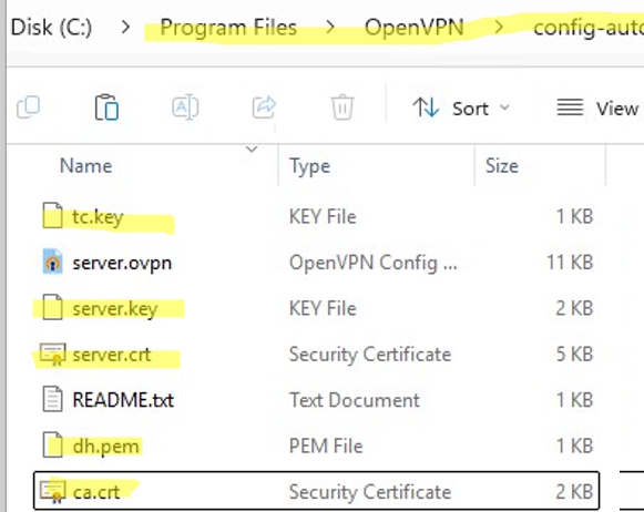 copy openvpn server key files