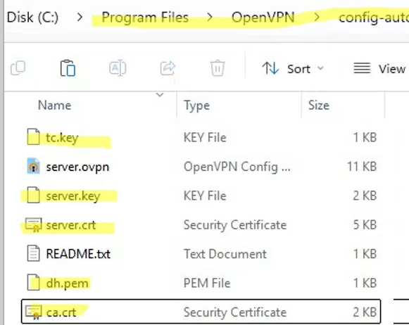 copy openvpn server key files
