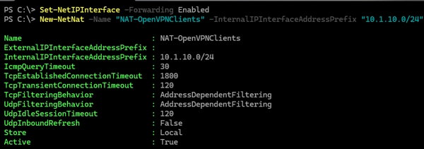 enable nat rule for openvpn server on windows